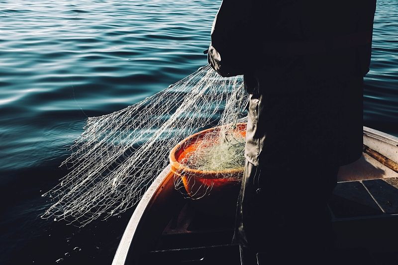 Рыбакам в Сочи запретили ловить маленькую барабулю