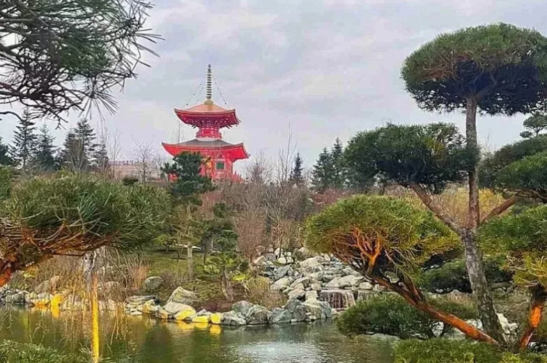Японский сад в Краснодаре признали самой интересной достопримечательностью России