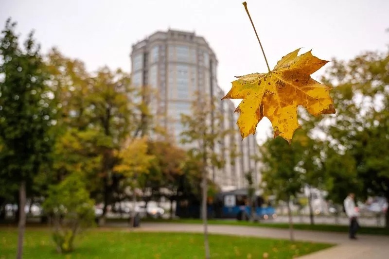 Температуры рухнут: ощутимое похолодание придет в Краснодарский край