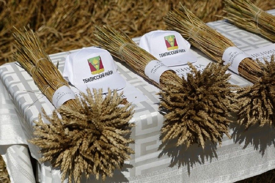 Кубанское Поле Интернет Магазин