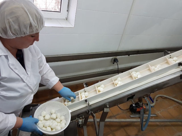 Сотрудники завода по производству сыра моцарелла в Гулькевичском районе ручаются за высокое качество своей продукции.
