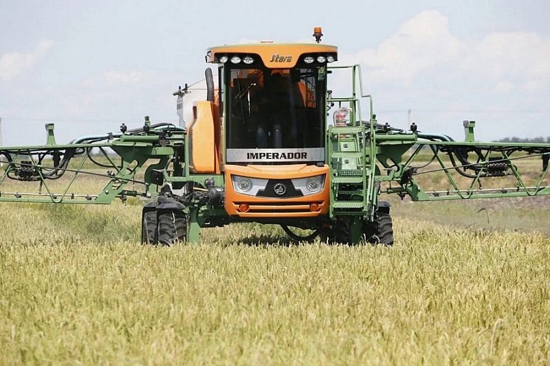 В России запретят сжигать рисовую солому