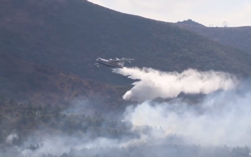 Роспотребнадзор не выявил загрязнения воздуха в Геленджике в связи с лесным пожаром