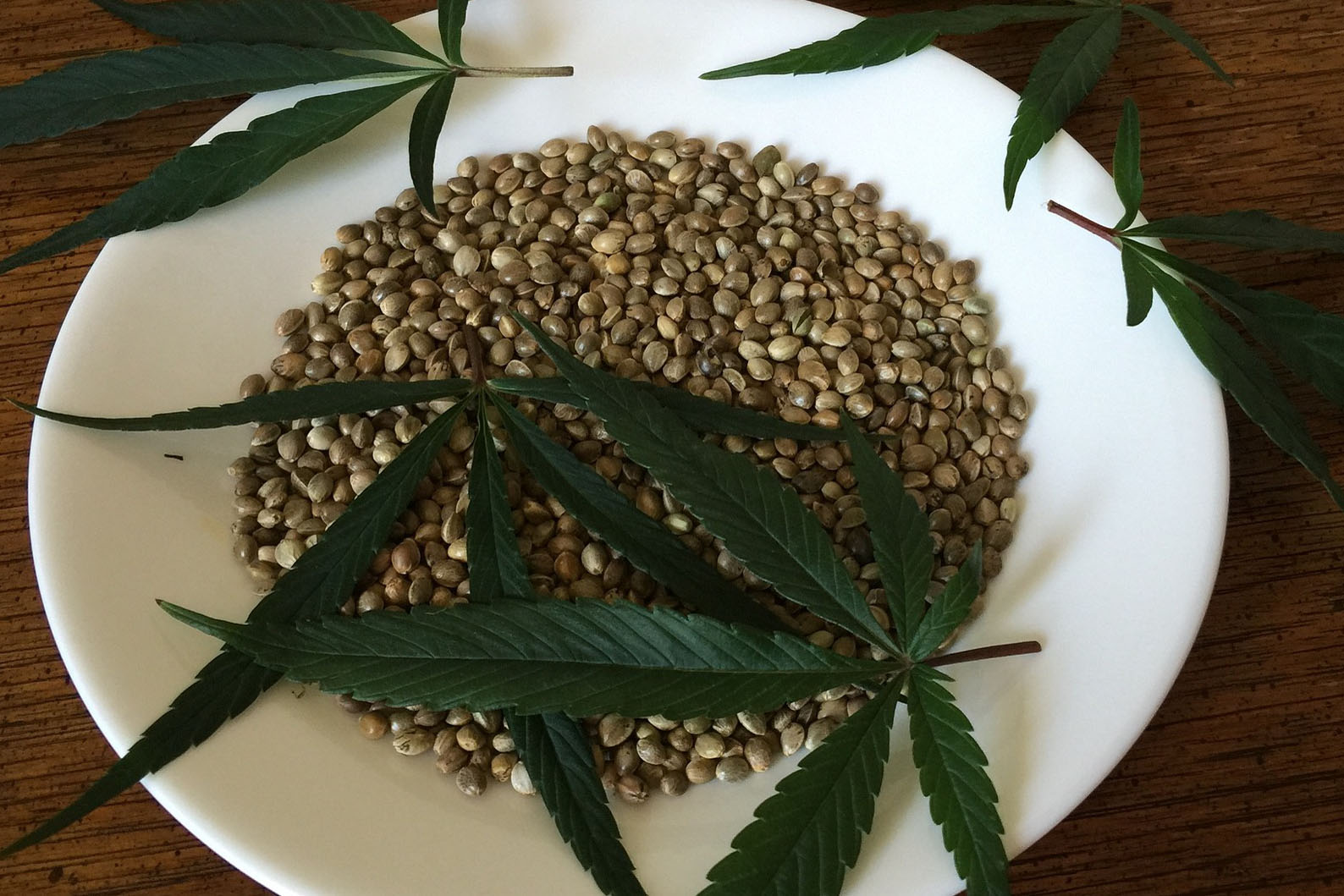 Семена конопли в еду тестирование на марихуану