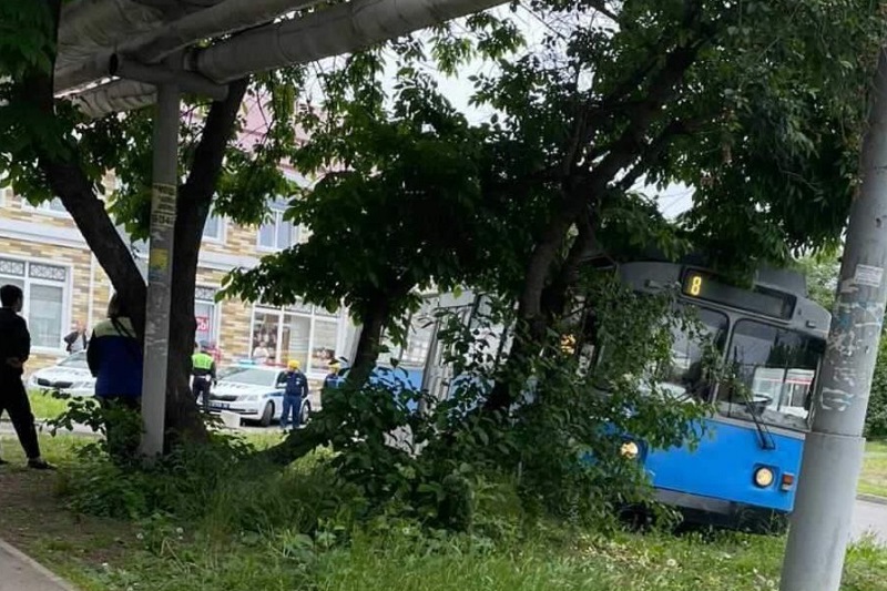 В Краснодаре задержан водитель троллейбуса, насмерть сбивший 15-летнюю школьницу