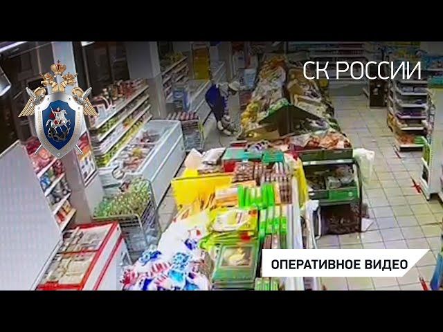 Задержан подозреваемый по уголовному делу о смерти женщины и несовершеннолетней девочки в Москве