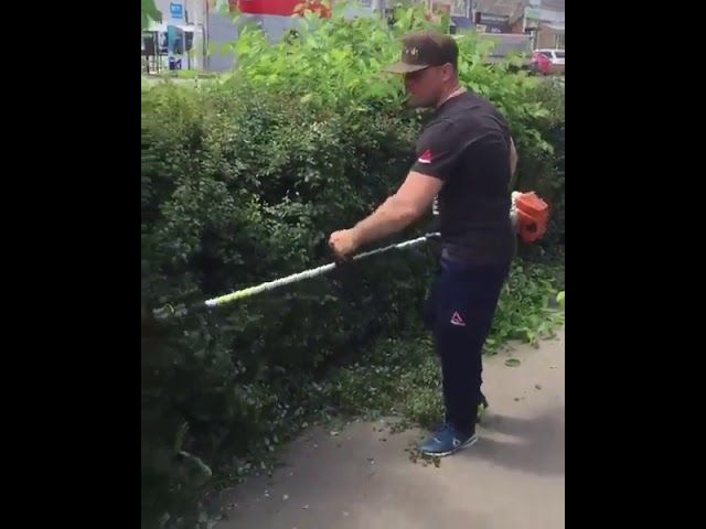 Глава Тимашевска стрижет кусты на улицах города