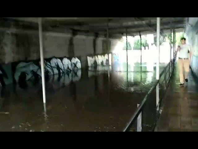 Затопленный мост на Вишнякова