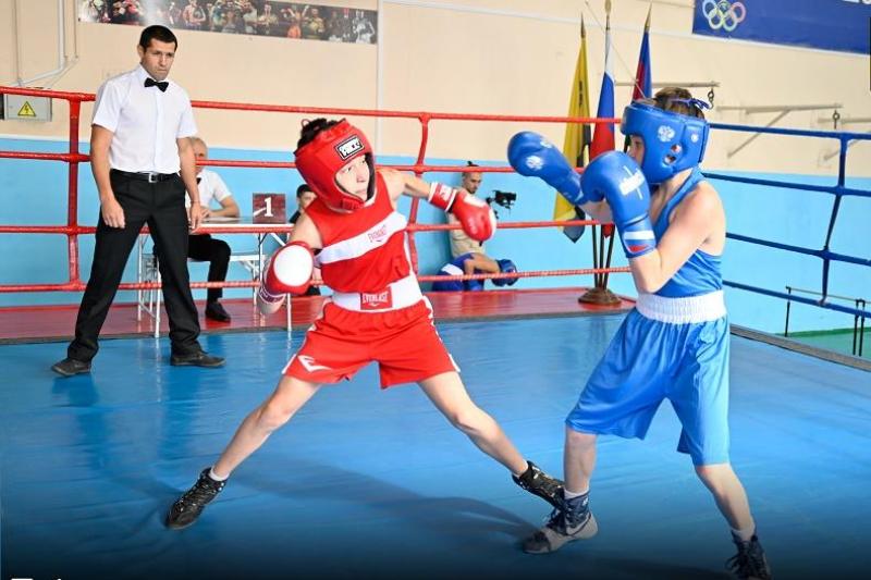 Боксеры стремятся к вершине «Олимпа»: в Новороссийске стартовала подготовка к масштабным соревнованиям по боксу