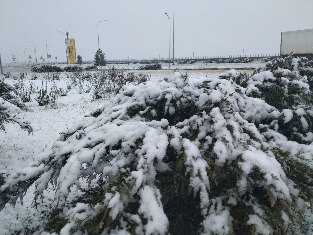 Снег в Краснодарском крае сегодня