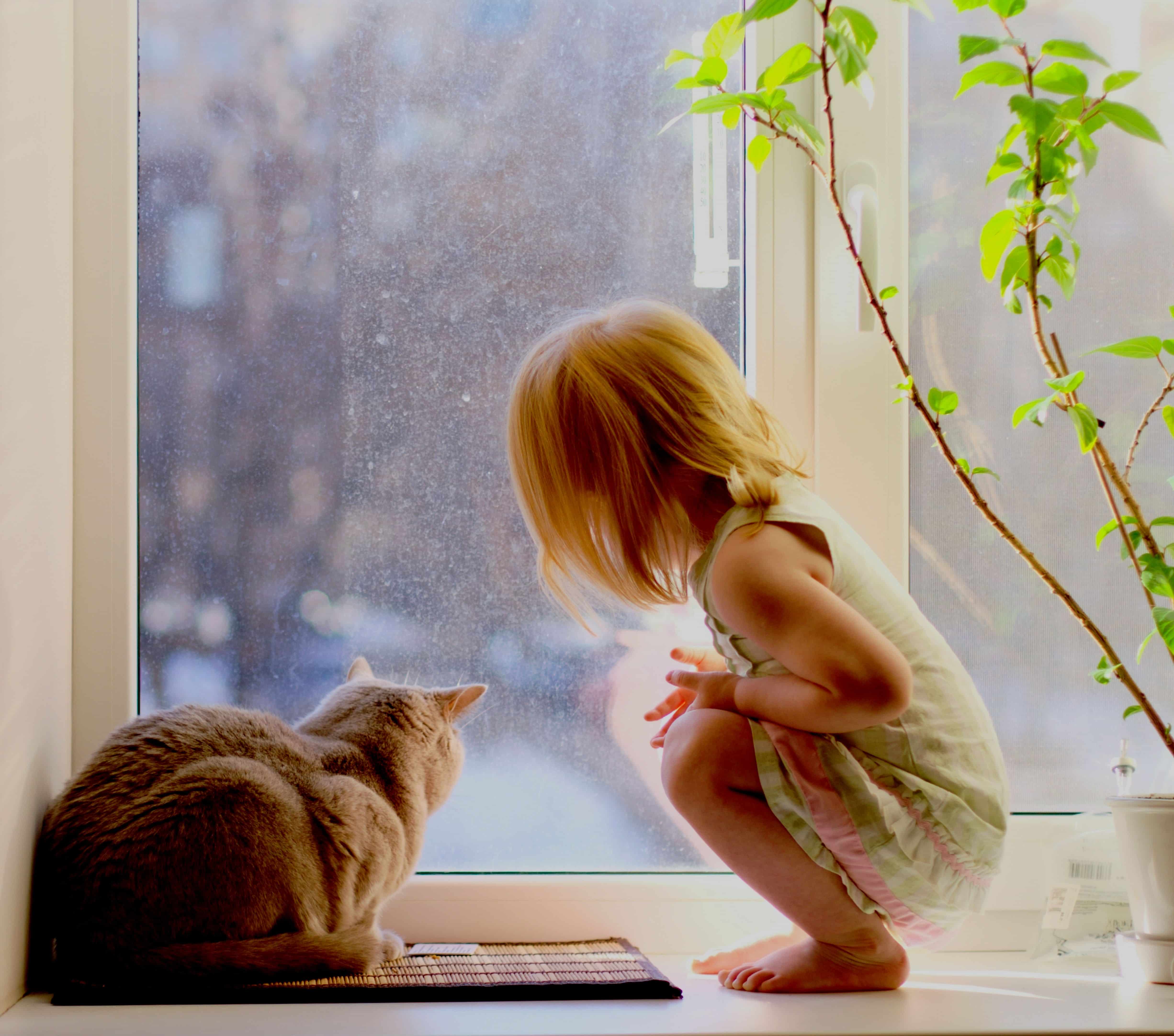 Соскучилась по дому. Девочка у окна. Ребенок на подоконнике. Девочка сидит у окна. Кошка девочка.