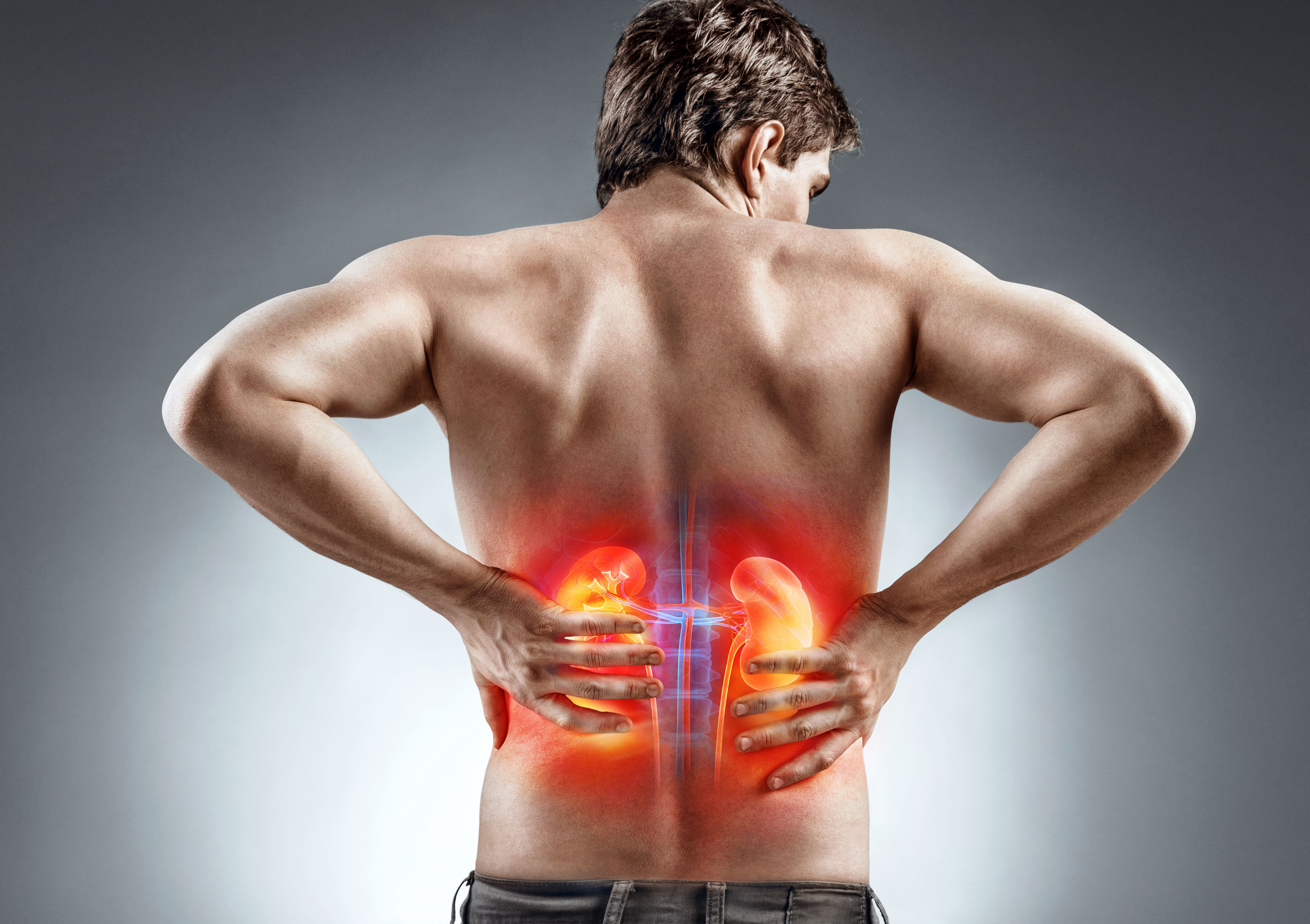 Первые симптомы почек у мужчин. Боль в спине. Боль в поясничной области.
