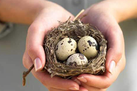 Польза для детей и взрослых: вот почему вам обязательно нужно есть одно такое яйцо каждый день