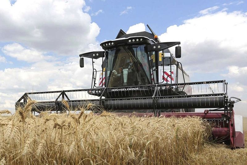 Российские аграрии получат льготные кредиты на 5 млрд рублей