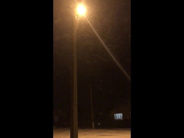 Первый снег в Ленинградском районе 12 ноября