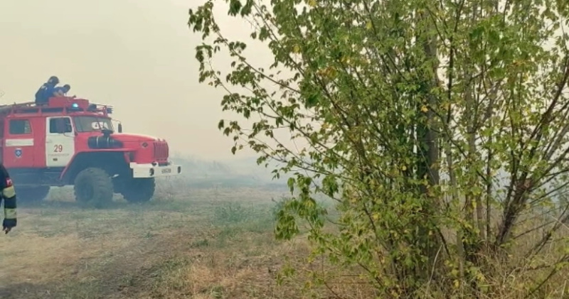  Почти 70 домов повреждены при лесном пожаре в Ростовской области