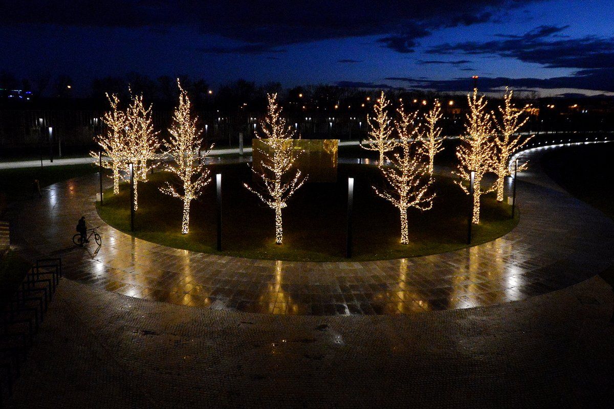 Парк Галицкого в Краснодаре зимой ночью