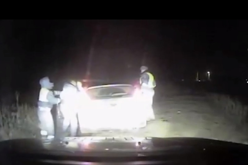На Кубани пьяный водитель иномарки напал на полицейского во время задержания