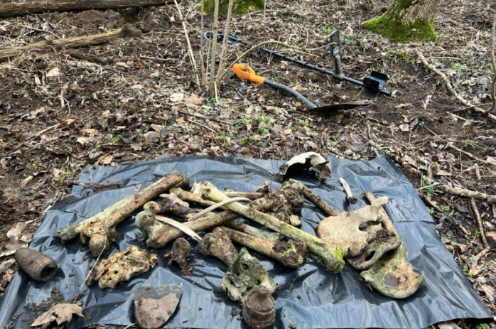 Останки двух советских бойцов обнаружили поисковики в лесу под Новороссийском