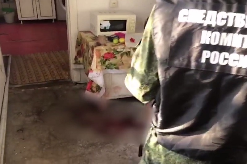 Загрызли собаки: СК опубликовал видео с места гибели 4-летней девочки в Сочи