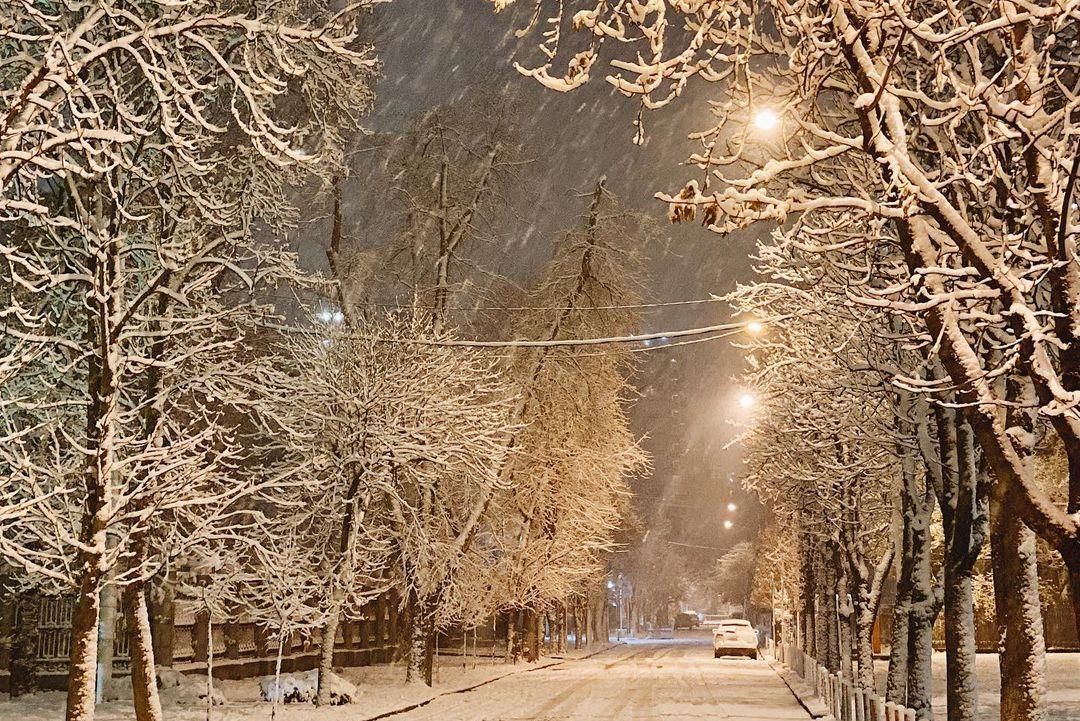 Краснодар Зимой Фото