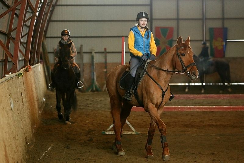 Краснодарский ипподром стал первым в стране по количеству испытанных лошадей. 