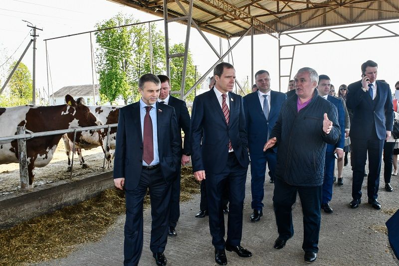 Сенаторы ознакомилась с работой крестьянско-фермерского хозяйства Юрия Ильченко из Динского района.