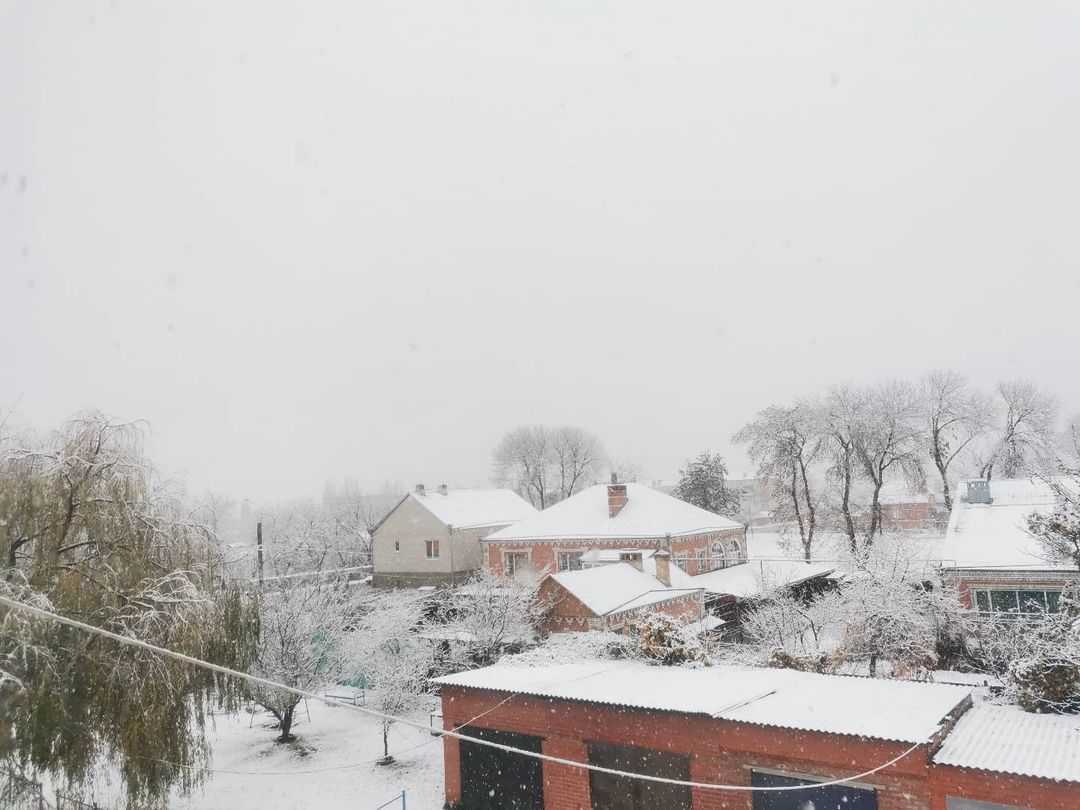 В крае выпал снег. Выпадает ли снег в Ильском Краснодарского края. Кубань в снегу фото. Снег в Краснодарском крае когда. Где сегодня в Краснодарском крае выпал снег.