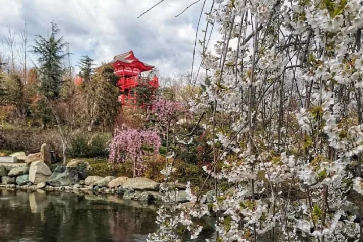 В Японском саду парка Галицкого ужесточили правила прохода
