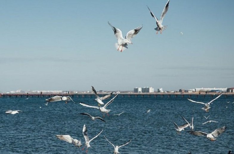 Черное море не спешит остывать: синоптики рассказали, где на Кубани самая теплая вода