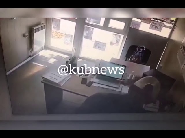 Разбойное нападение на сотрудницу офиса микрозаймов в Краснодаре