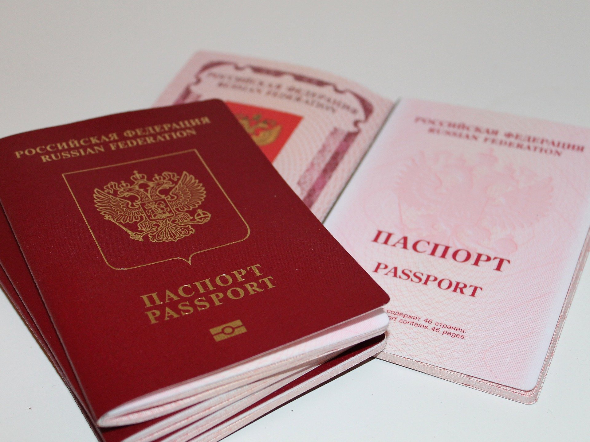 Паспорт Без Фото