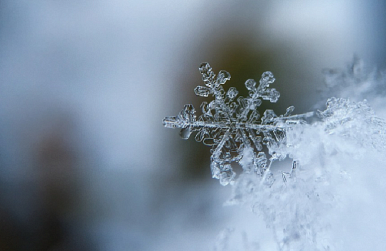 Синоптики предупредили о налипании мокрого снега на Кубани в ночь на 25 октября