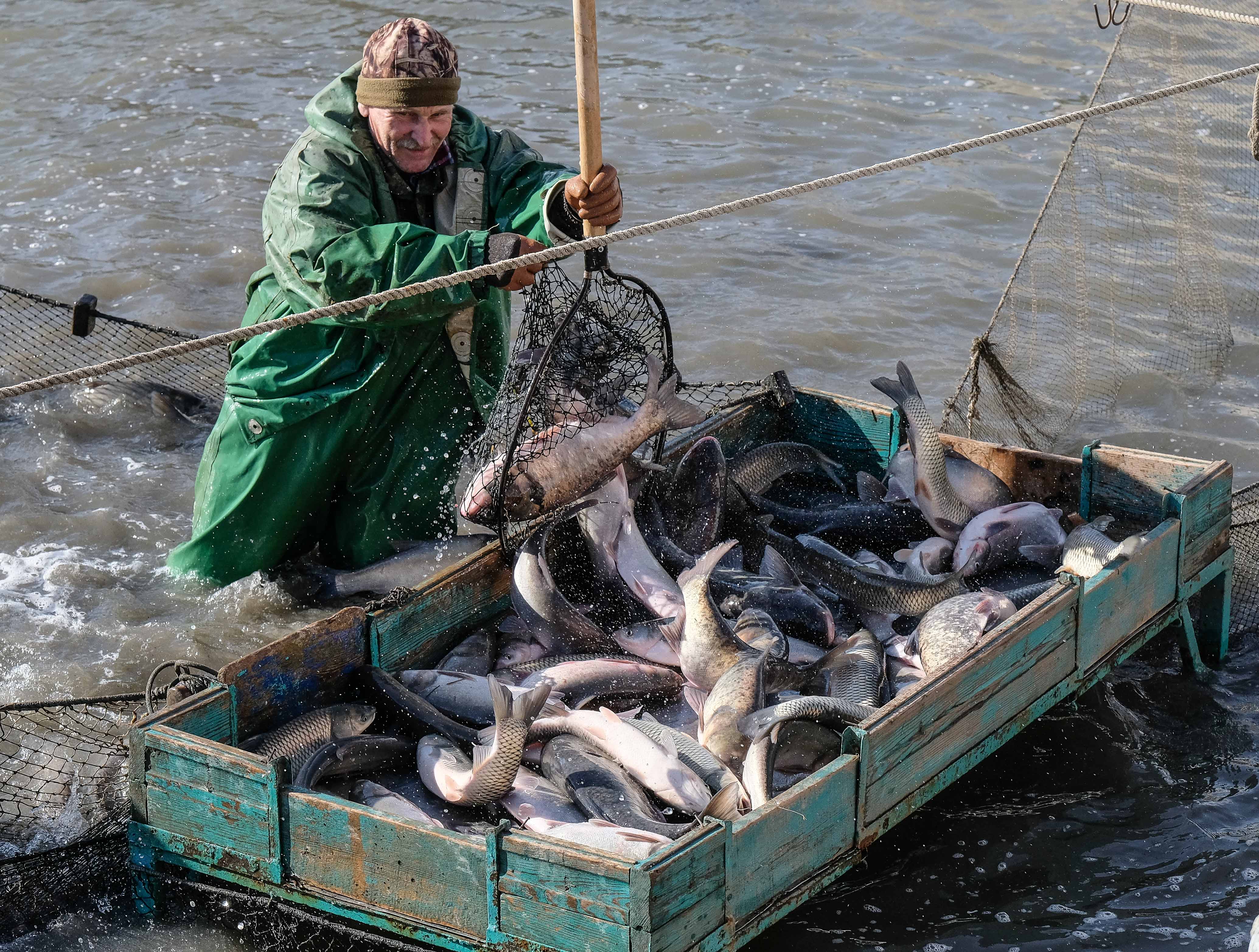Ловля рыбы в краснодарском крае
