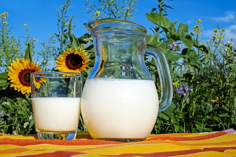 В 2018 году на Кубани получено 1, 45 миллион тонн молока.