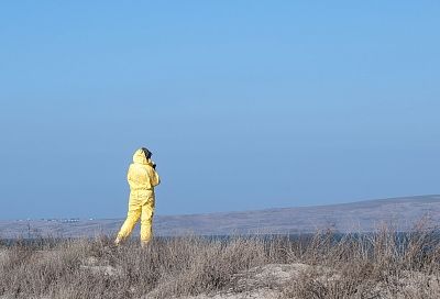 В Сочи создают технологию для формирования гражданско-патриотической позиции у волонтеров