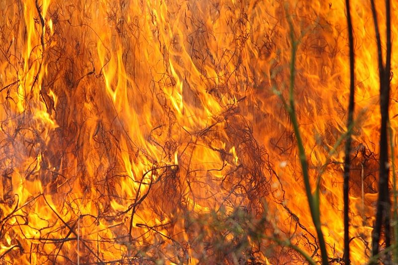 Крупный пожар на Гидрострое в Краснодаре потушили