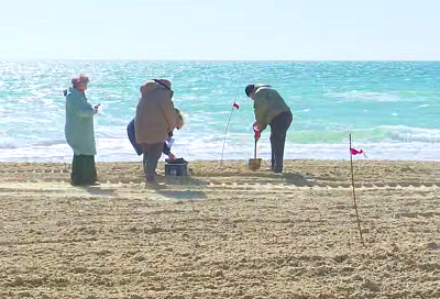 Специалисты Роспотребнадзора взяли пробы песка на тестовом участке пляжа в курортном селе под Анапой