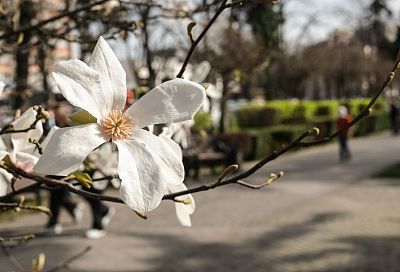 Стало известно, когда прекратятся дожди и потеплеет до +21 градуса в Краснодарском крае