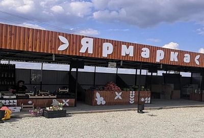 В курортный сезон на придорожных ярмарках Краснодарского края продали более 3 тысяч тонн сельхозпродукции