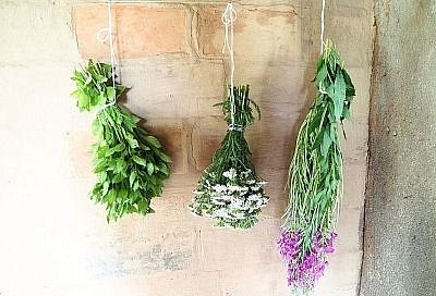 Собрала дома коллекцию трав, которые делают чай вкуснее, а здоровье - крепче