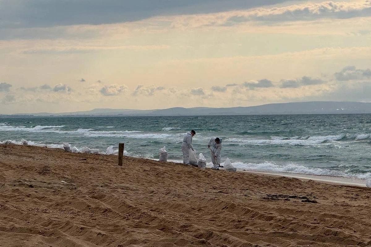 Глава МЧС России приехал в Анапу для контроля работ по ликвидации ЧС с мазутом