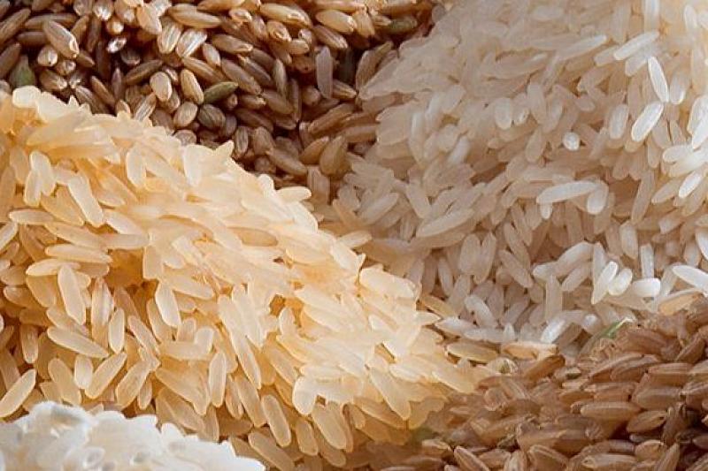 Краснодарский край в рамках нацпроекта увеличил экспорт риса