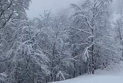 Более метра снега выпало в горах под Сочи за двое суток