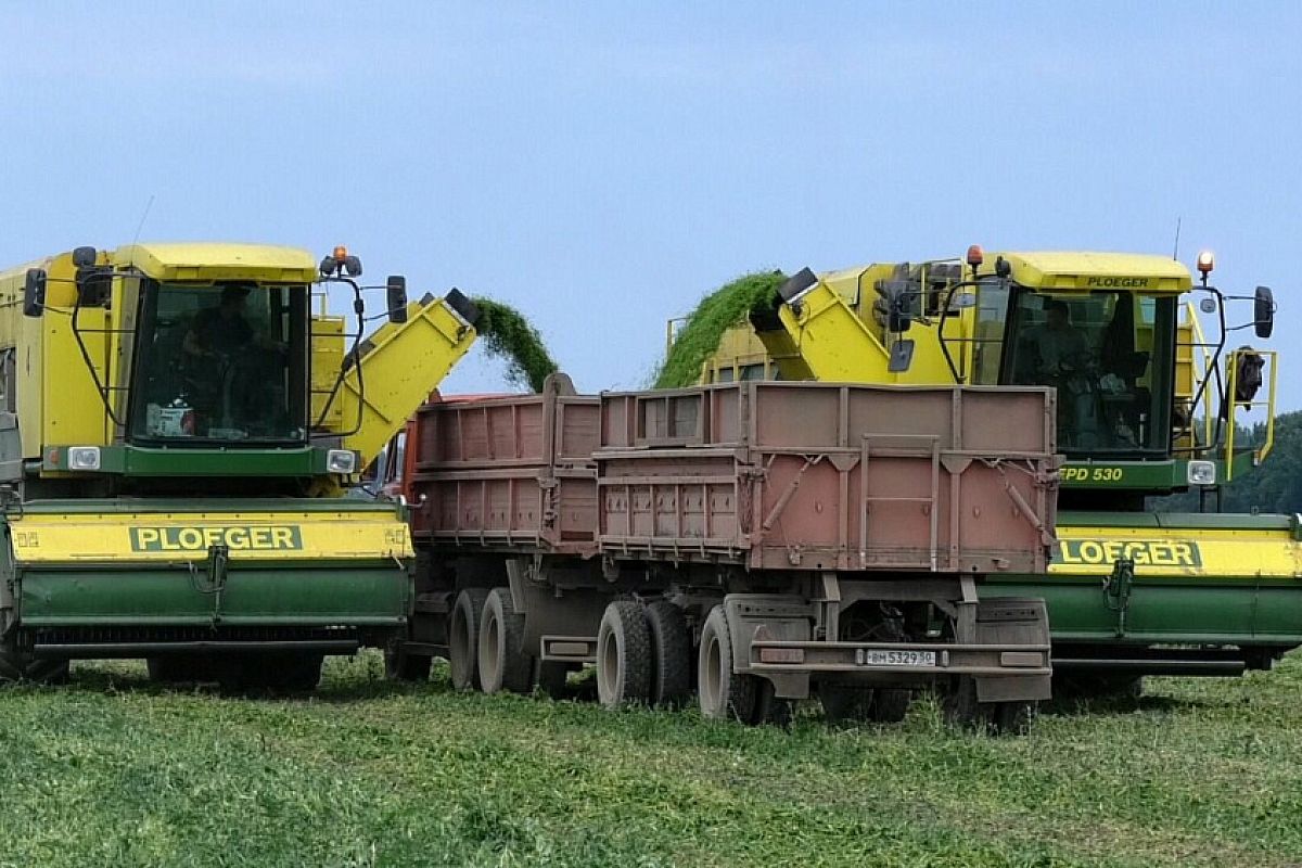 Предприятию из Крымского района помогут внедрить бережливое производство