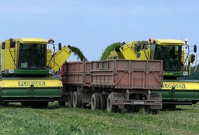 Предприятию из Крымского района помогут внедрить бережливое производство