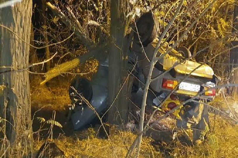 В Краснодарском крае погиб водитель опрокинувшейся легковушки