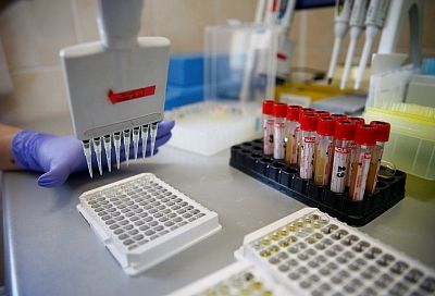 Ученые признали более смертоносным «британский» штамм коронавируса