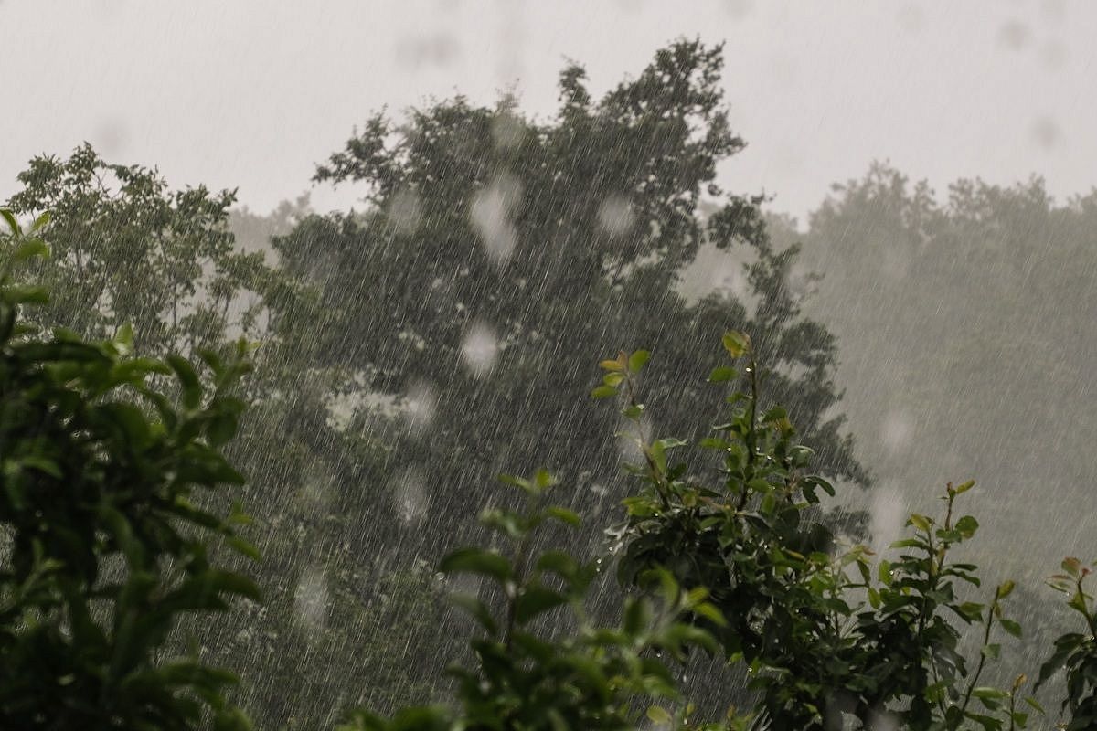 Локальные ливни, грозы, град и смерчи: трехдневный разгул стихии ожидается в Краснодарском крае