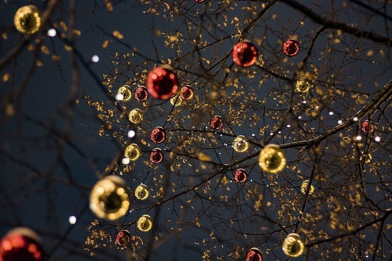 Скоро Новый год: власти Краснодара рассказали, когда украсят город